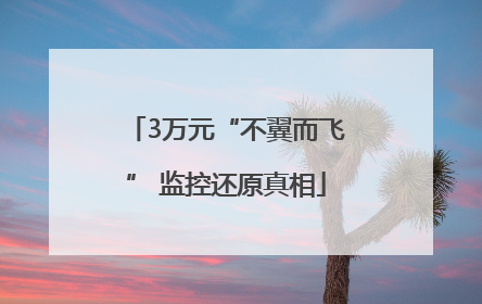 3万元“不翼而飞” 监控还原真相