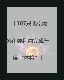 107只北京雨燕在颐和园完成年度“体检”