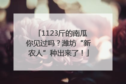 1123斤的南瓜你见过吗？潍坊“新农人”种出来了！