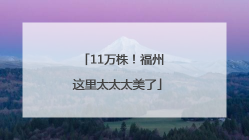 11万株！福州这里太太太美了