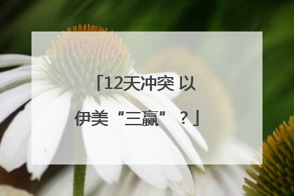 12天冲突 以伊美“三赢”？