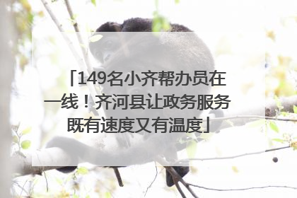 149名小齐帮办员在一线！齐河县让政务服务既有速度又有温度