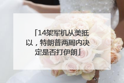 14架军机从美抵以，特朗普两周内决定是否打伊朗