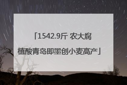 1542.9斤 农大腐植酸青岛即墨创小麦高产