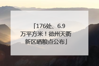 176处、6.9万平方米！德州天衢新区晒粮点公布