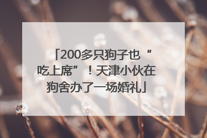 200多只狗子也“吃上席”！天津小伙在狗舍办了一场婚礼
