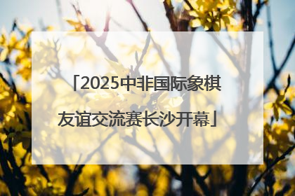 2025中非国际象棋友谊交流赛长沙开幕