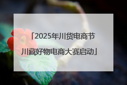 2025年川货电商节川藏好物电商大赛启动