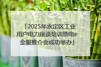 2025年永定区工业用户电力座谈培训暨电e金服推介会成功举办