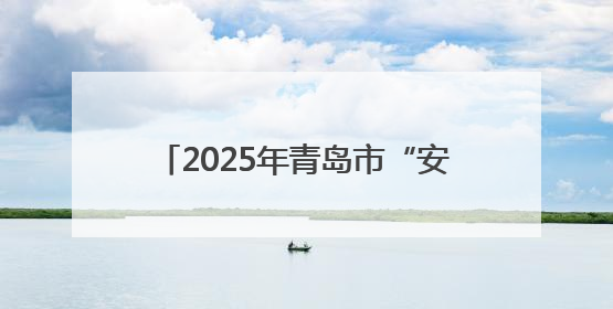 2025年青岛市“安全宣传咨询日”主场活动在西海岸新区举行