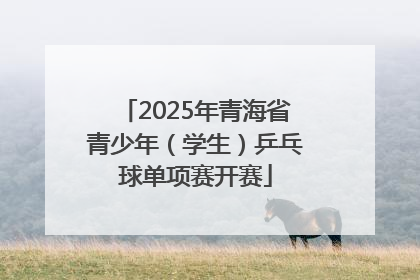 2025年青海省青少年（学生）乒乓球单项赛开赛