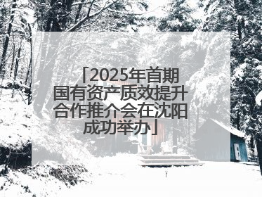 2025年首期国有资产质效提升合作推介会在沈阳成功举办