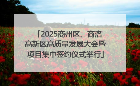 2025商州区、商洛高新区高质量发展大会暨项目集中签约仪式举行