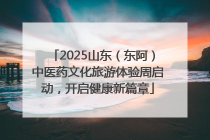 2025山东（东阿）中医药文化旅游体验周启动，开启健康新篇章