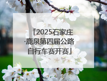 2025石家庄·鹿泉第四届公路自行车赛开赛