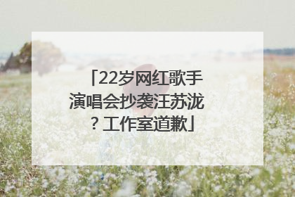 22岁网红歌手演唱会抄袭汪苏泷？工作室道歉