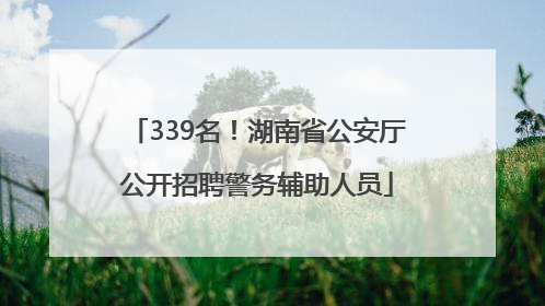 339名！湖南省公安厅公开招聘警务辅助人员