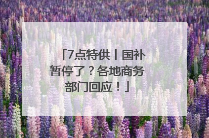 7点特供丨国补暂停了？各地商务部门回应！