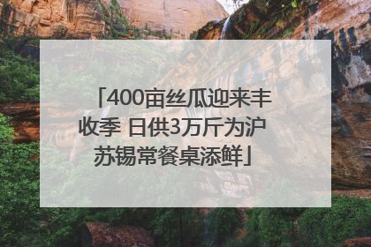 400亩丝瓜迎来丰收季 日供3万斤为沪苏锡常餐桌添鲜