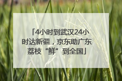 4小时到武汉24小时达新疆，京东助广东荔枝“鲜”到全国