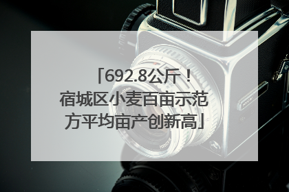 692.8公斤！宿城区小麦百亩示范方平均亩产创新高