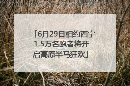 6月29日相约西宁 1.5万名跑者将开启高原半马狂欢
