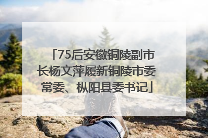 75后安徽铜陵副市长杨文萍履新铜陵市委常委、枞阳县委书记