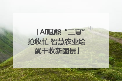 AI赋能“三夏”抢收忙 智慧农业绘就丰收新图景
