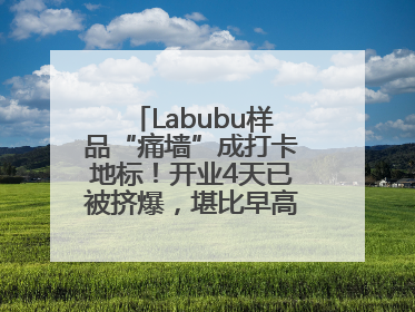Labubu样品“痛墙”成打卡地标！开业4天已被挤爆，堪比早高峰菜市场