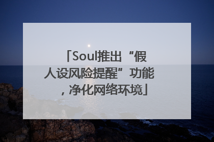 Soul推出“假人设风险提醒”功能，净化网络环境